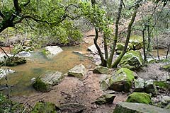 Gorges du Blavet - Bachtal